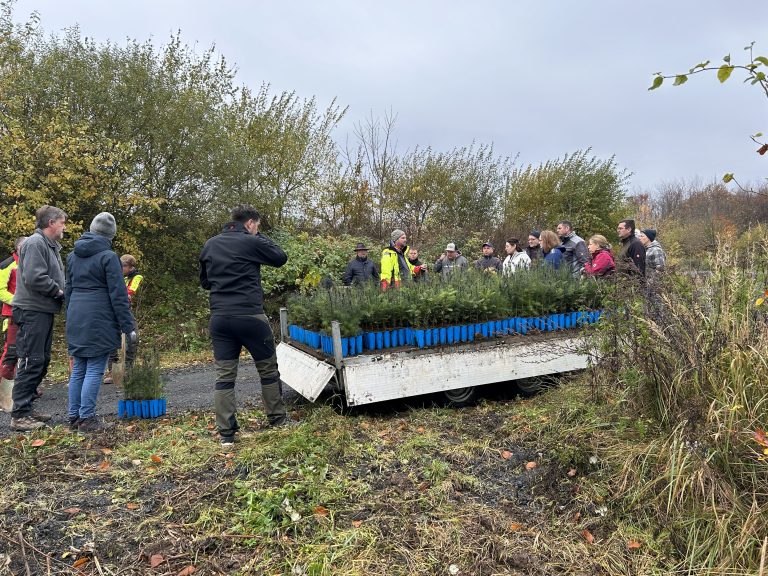 TuSpo Nassau Beilstein und der NABU Beilstein bringen weitere 1050 Bäume in die Erde